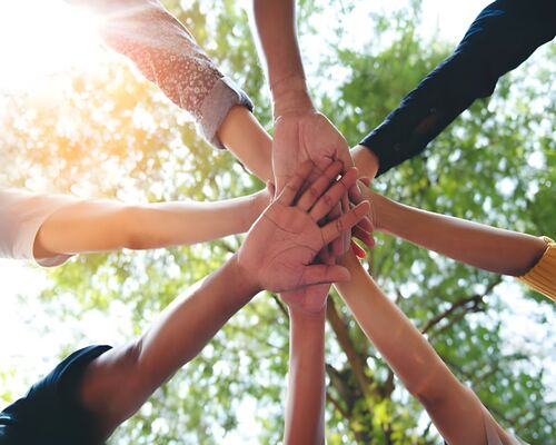 Shandong Sanyuan Biotechnology Co., Ltd