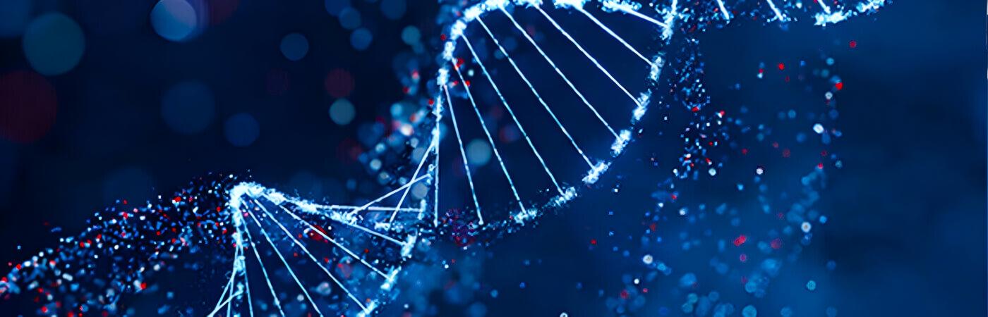 Shandong Sanyuan Biotechnology Co., Ltd