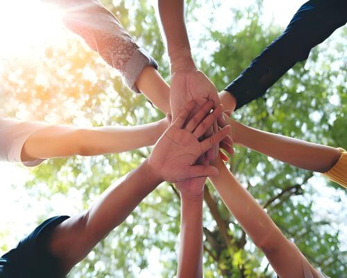 Shandong Sanyuan Biotechnology Promotes Green Production Solutions